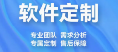 应用软件开发、软件开发