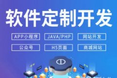 程序开发、网站建设、APP开发、电商运营、软件开发、网站推广