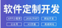 小程序开发、网站建设、APP开发、电商运营、软件开发