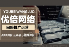 app开发，小程序开发，小程序搭建，小程序定制，软件制作