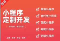 网站/网页/商城/APP/小程序/软件/公众号/搭建制作