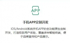 小程序开发 APP开发 网站建设、软件开发